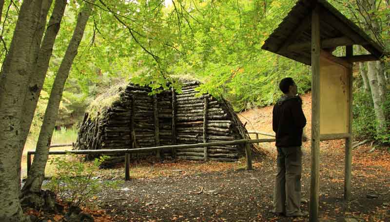 Un visitante observa la motonera para la fabricación de carbón vegetal de haya en el hayedo de tejera negra