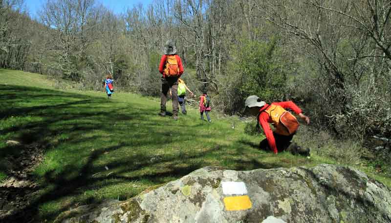 grupo de muchachos disfrutan de un sendero de la ruta de los pueblos negros cerca de El Cardoso de la Sierra